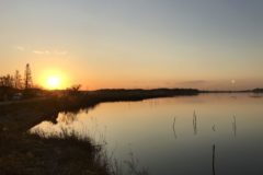 手賀沼の夕日