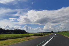 雨上がりの緑道